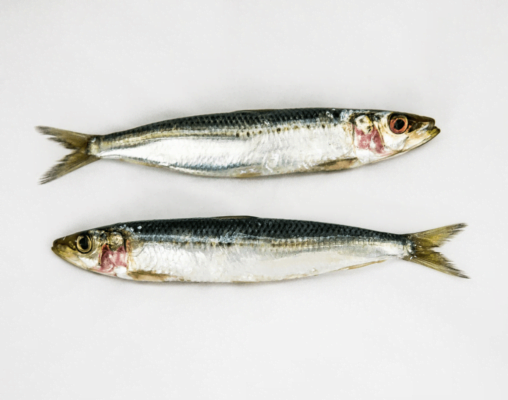 Nutrição nos Santos Populares